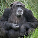 Image for article titled io9 Roundup: March 4, 2012